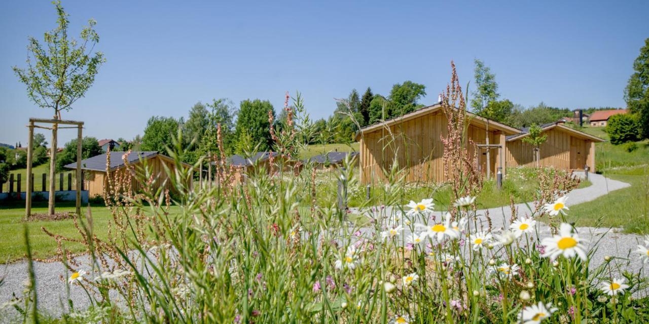 Naturhotel & Chalets Euler Neuschönau Exteriér fotografie